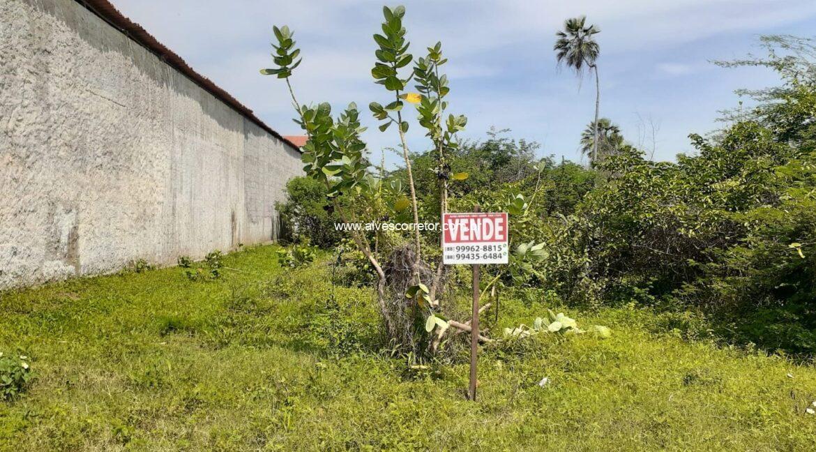 terreno-jorge-1600x800