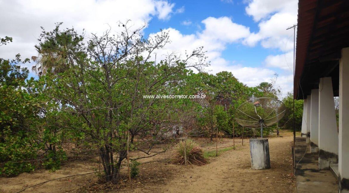 WhatsApp-Image-2023-11-02-at-13.30.42-1280x800