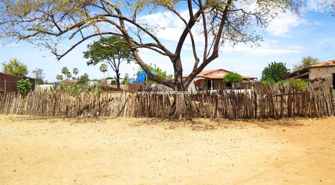 WhatsApp-Image-2023-11-17-at-20.38.14-1-1-1600x800