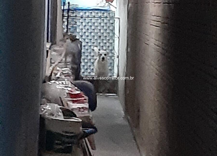 WhatsApp-Image-2022-10-13-at-20.14.31-4-900x800