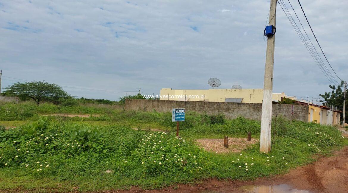 WhatsApp Image 2025-02-23 at 16.30.52