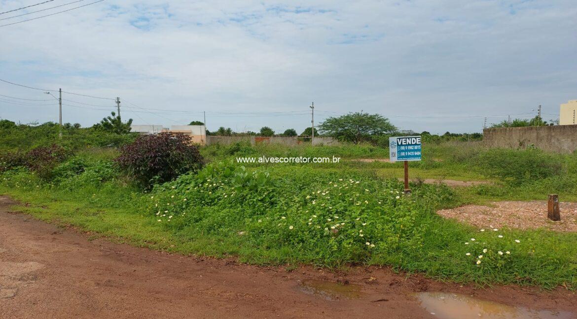 WhatsApp Image 2025-02-23 at 16.30.53