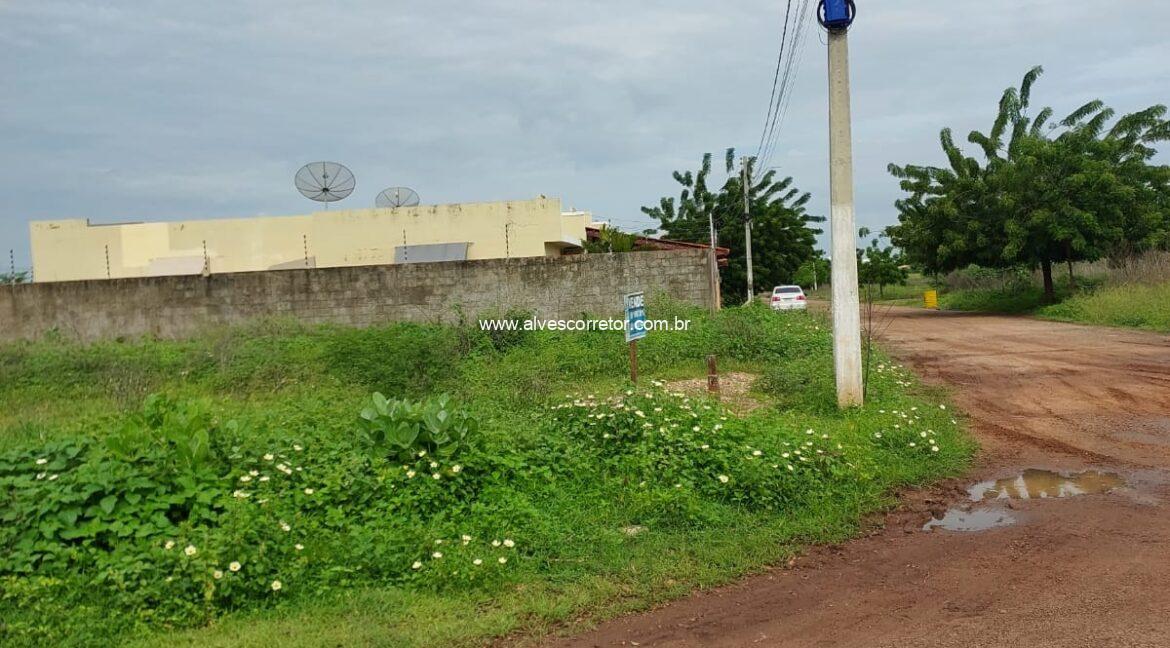 WhatsApp Image 2025-02-23 at 16.30.53 (2)