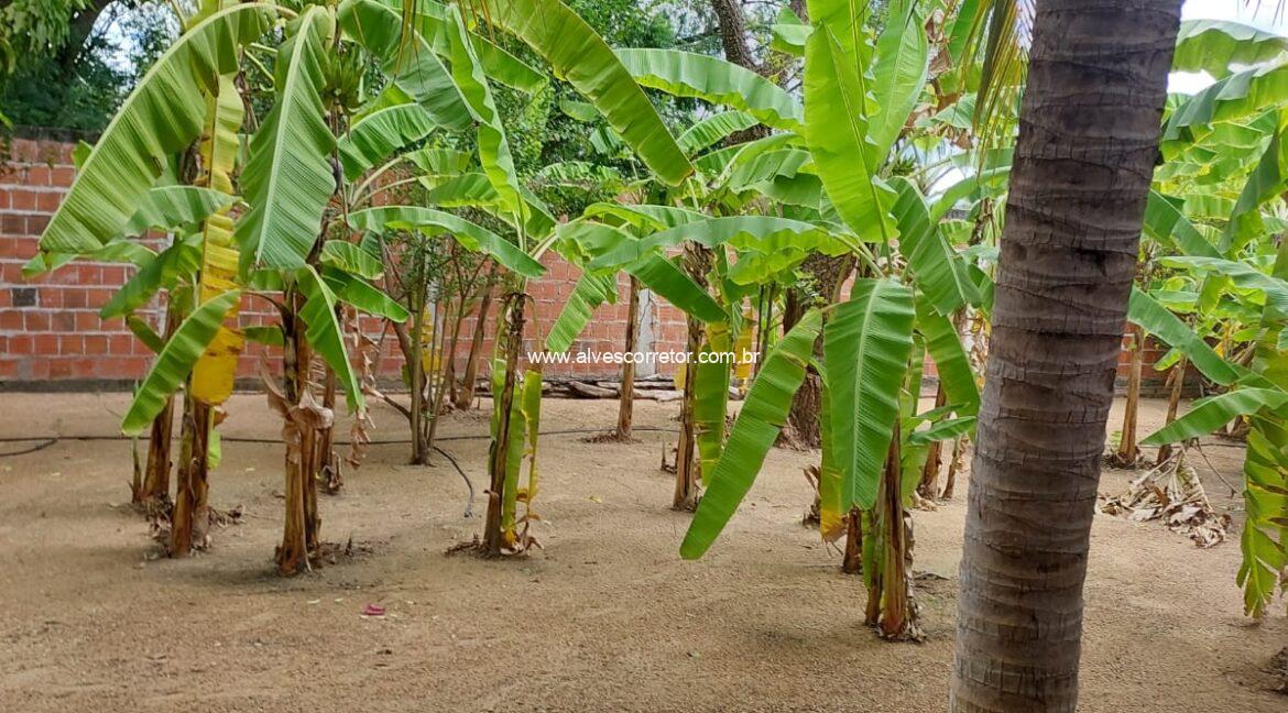 WhatsApp Image 2025-06-01 at 15.12.51 (1)