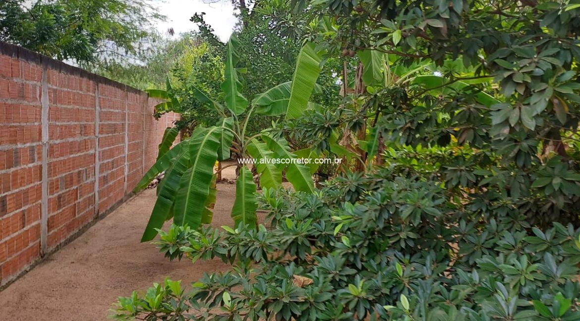 WhatsApp Image 2025-06-01 at 15.12.51 (1)