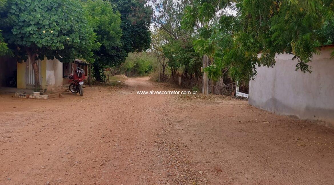 WhatsApp Image 2025-06-01 at 15.12.51 (12)