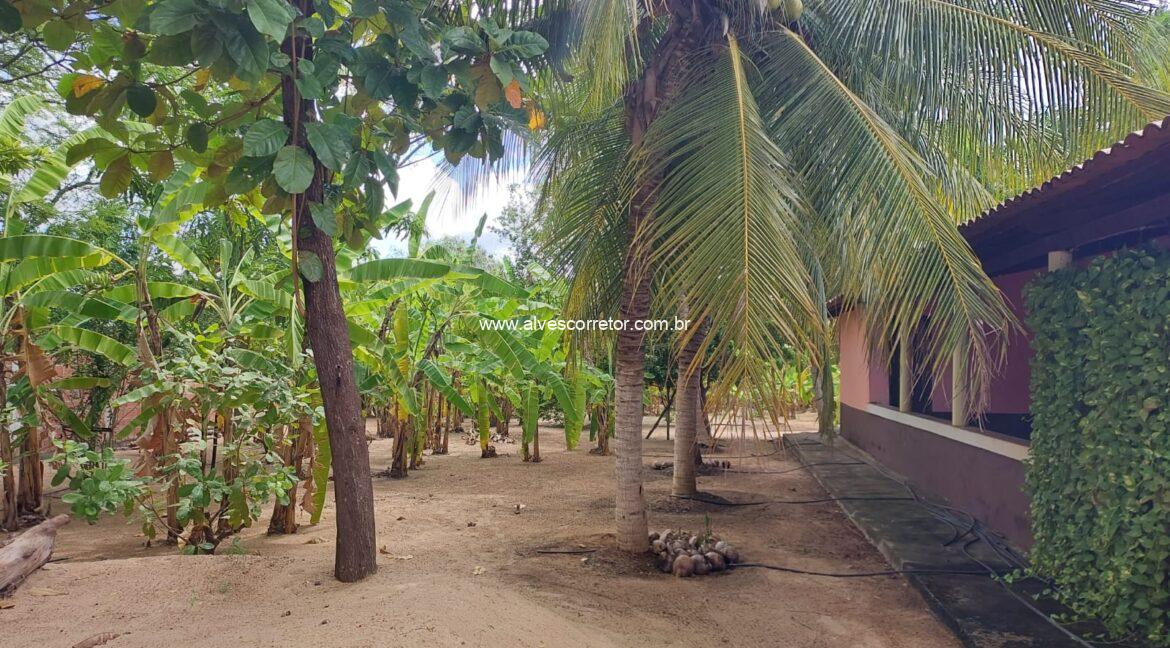 WhatsApp Image 2025-06-01 at 15.12.51