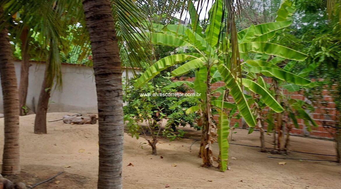 WhatsApp Image 2025-06-01 at 15.12.51 (2)