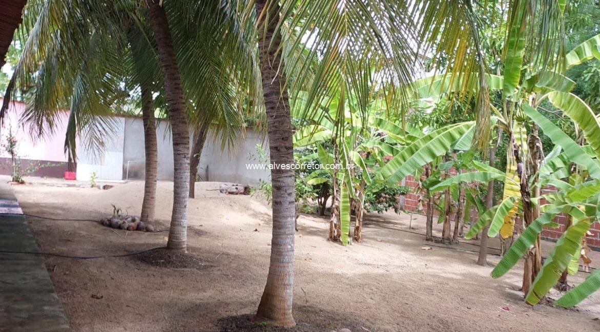 WhatsApp Image 2025-06-01 at 15.12.51 (3)