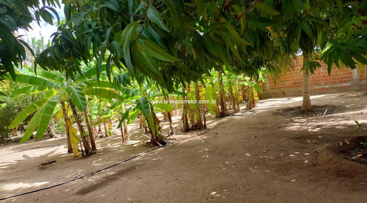 WhatsApp Image 2025-06-01 at 15.12.51 (5)