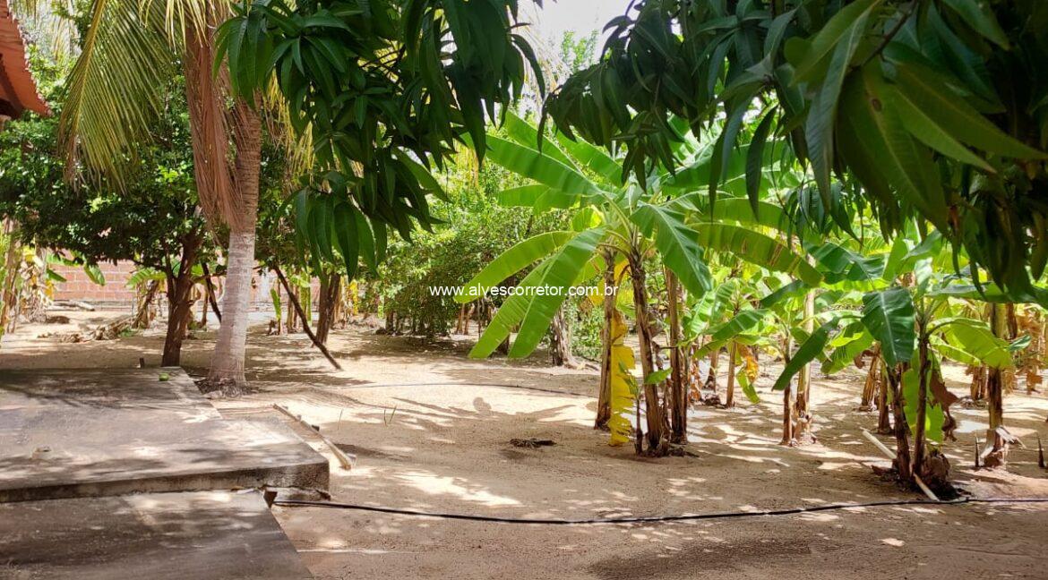 WhatsApp Image 2025-06-01 at 15.12.51 (6)