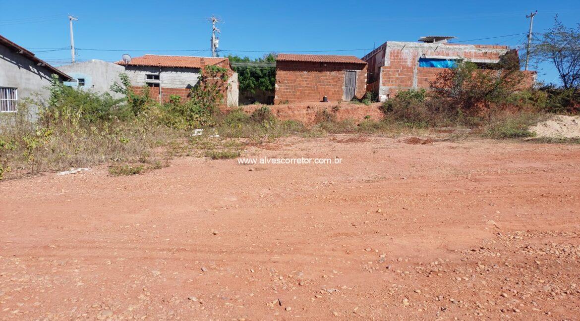 WhatsApp Image 2025-08-08 at 15.08.12