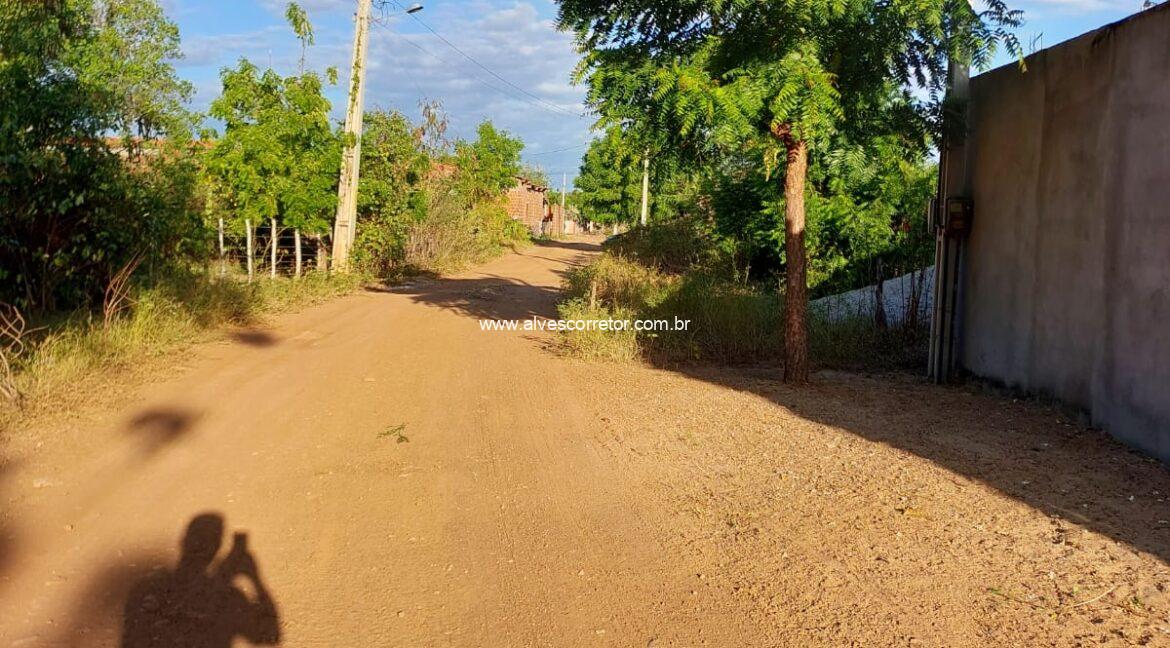 WhatsApp Image 2025-08-24 at 06.28.25 (8)