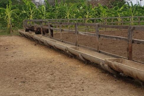 WhatsApp Image 2025-09-18 at 18.13.46 (1)