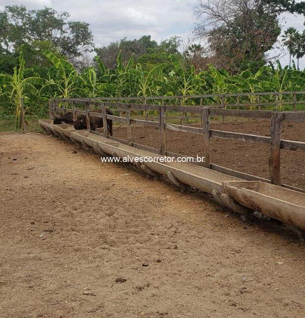 WhatsApp Image 2025-09-18 at 18.13.46 (1)