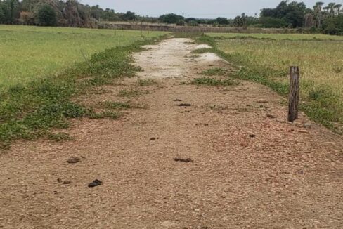 WhatsApp Image 2025-09-18 at 18.13.46 (2)