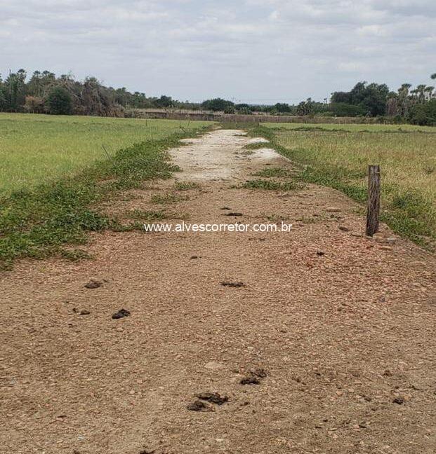 WhatsApp Image 2025-09-18 at 18.13.46 (2)