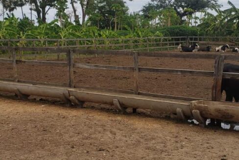 WhatsApp Image 2025-09-18 at 18.13.46 (3)