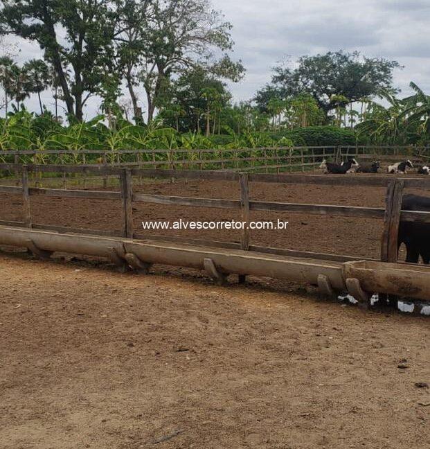 WhatsApp Image 2025-09-18 at 18.13.46 (3)