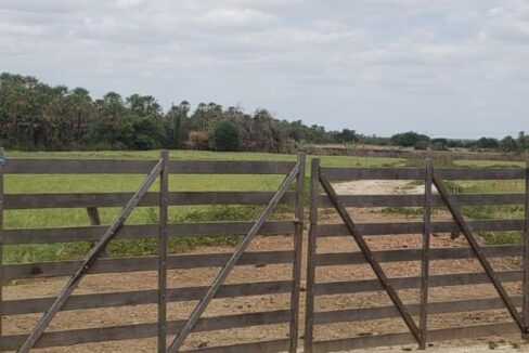 WhatsApp Image 2025-09-18 at 18.13.46 (4)