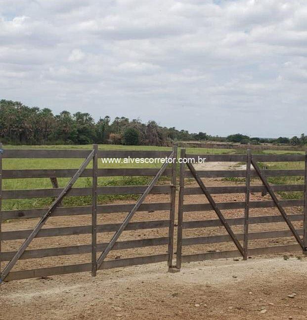 WhatsApp Image 2025-09-18 at 18.13.46 (4)