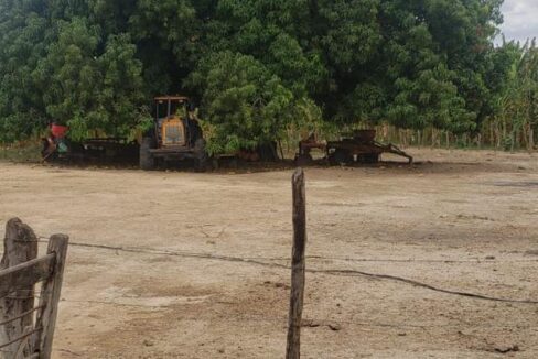 WhatsApp Image 2025-09-18 at 18.13.46