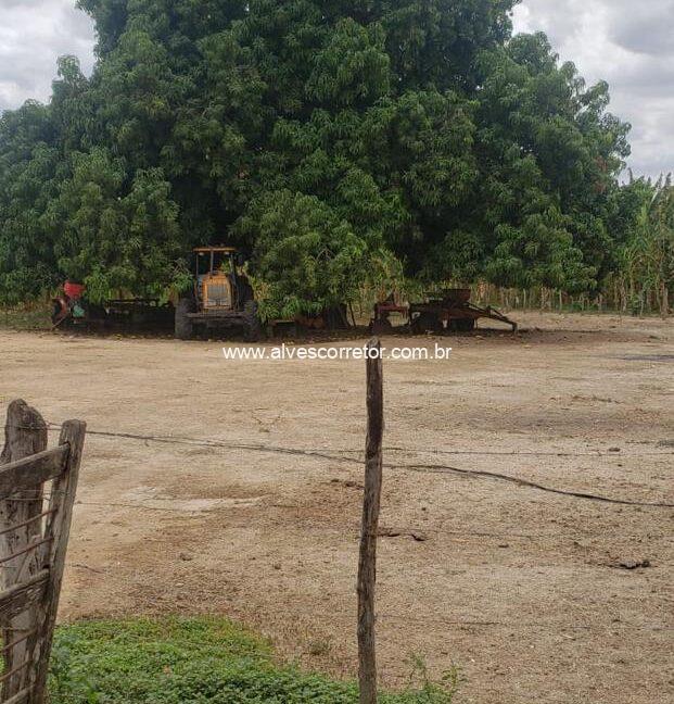 WhatsApp Image 2025-09-18 at 18.13.46