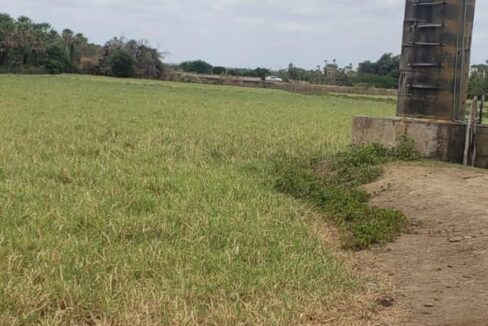 WhatsApp Image 2025-09-18 at 18.13.47 (1)