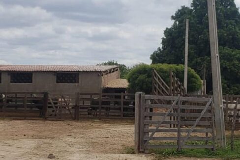 WhatsApp Image 2025-09-18 at 18.13.47 (2)