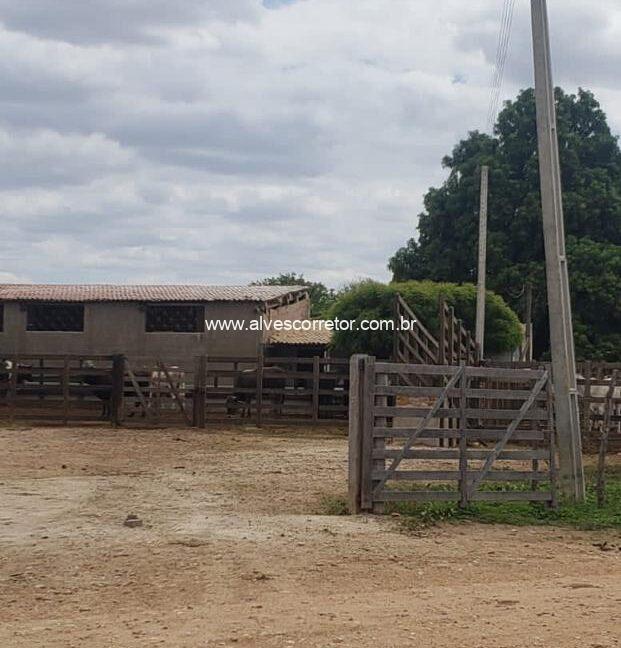 WhatsApp Image 2025-09-18 at 18.13.47 (2)