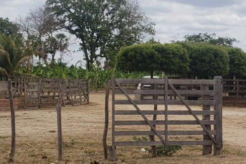 WhatsApp Image 2025-09-18 at 18.13.47 (3)