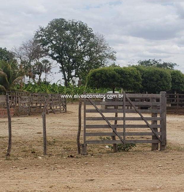 WhatsApp Image 2025-09-18 at 18.13.47 (3)