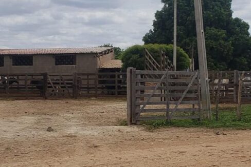 WhatsApp Image 2025-09-18 at 18.13.47 (4)