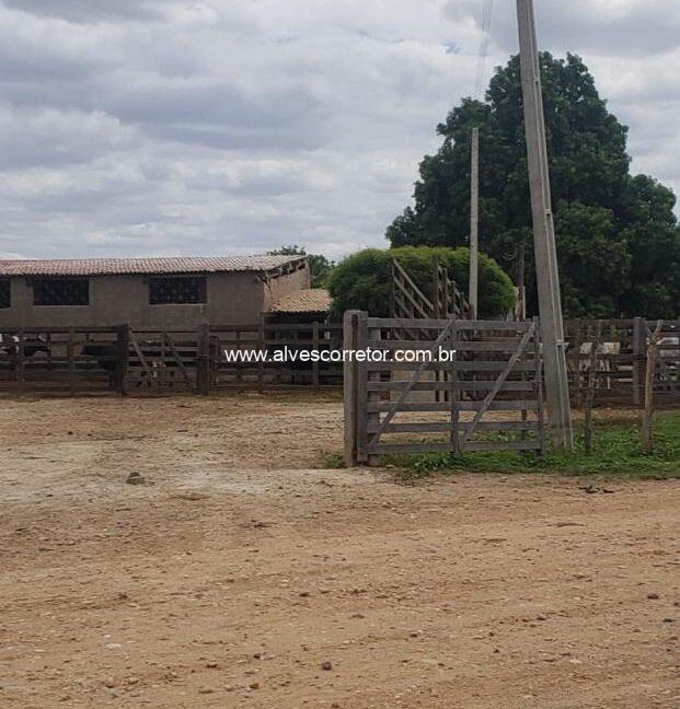 WhatsApp Image 2025-09-18 at 18.13.47 (4)