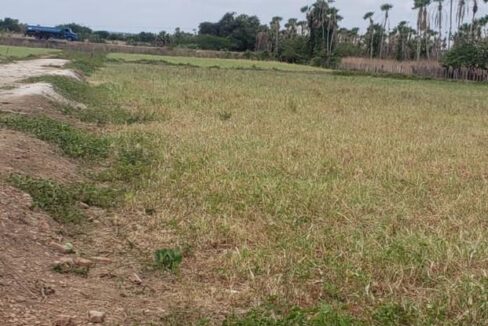 WhatsApp Image 2025-09-18 at 18.13.47