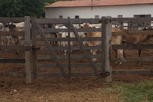 WhatsApp Image 2025-09-18 at 18.13.47 (5)