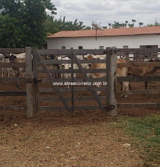 WhatsApp Image 2025-09-18 at 18.13.47 (5)