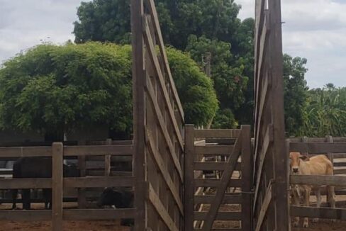 WhatsApp Image 2025-09-18 at 18.13.47 (6)