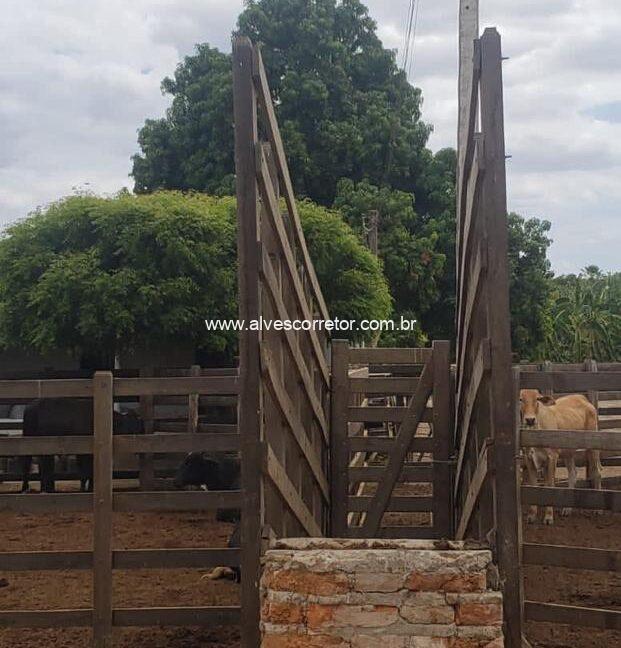 WhatsApp Image 2025-09-18 at 18.13.47 (6)