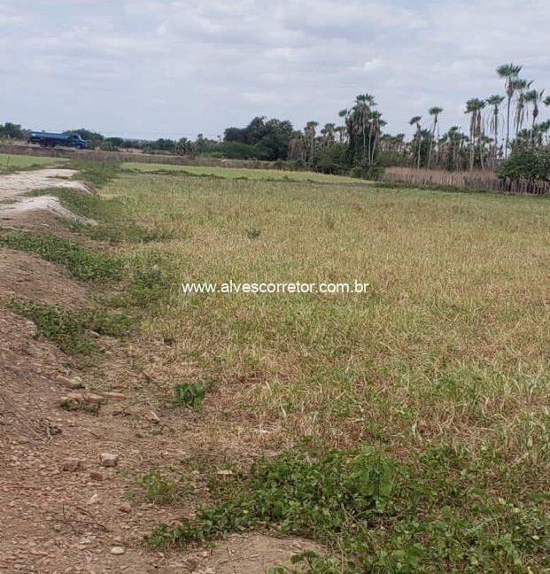 WhatsApp Image 2025-09-18 at 18.13.47