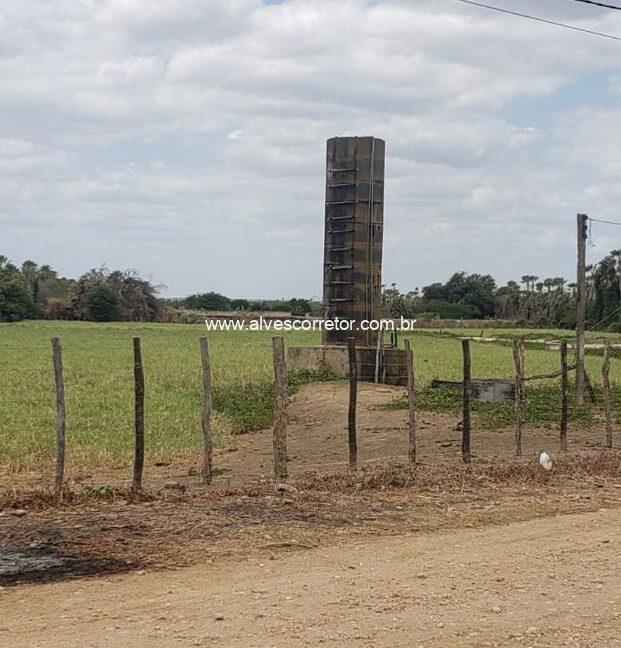 WhatsApp Image 2025-09-18 at 18.13.47 (7)