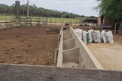 WhatsApp Image 2025-09-18 at 18.13.47 (8)