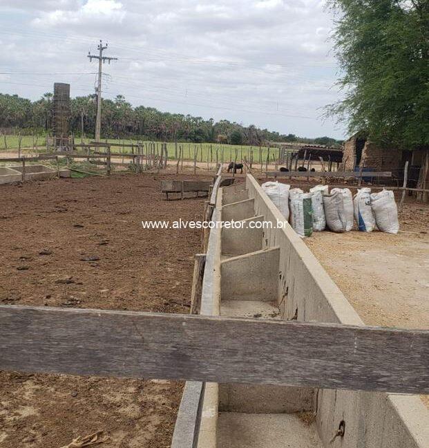 WhatsApp Image 2025-09-18 at 18.13.47 (8)