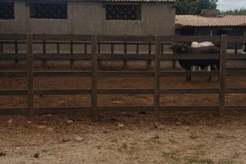 WhatsApp Image 2025-09-18 at 18.13.48 (1)