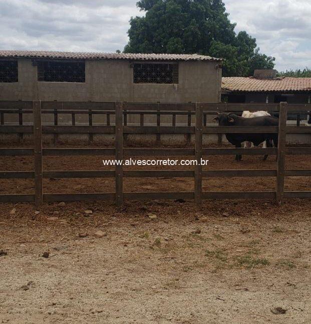 WhatsApp Image 2025-09-18 at 18.13.48 (1)