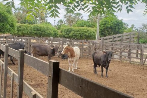 WhatsApp Image 2025-09-18 at 18.13.48 (2)