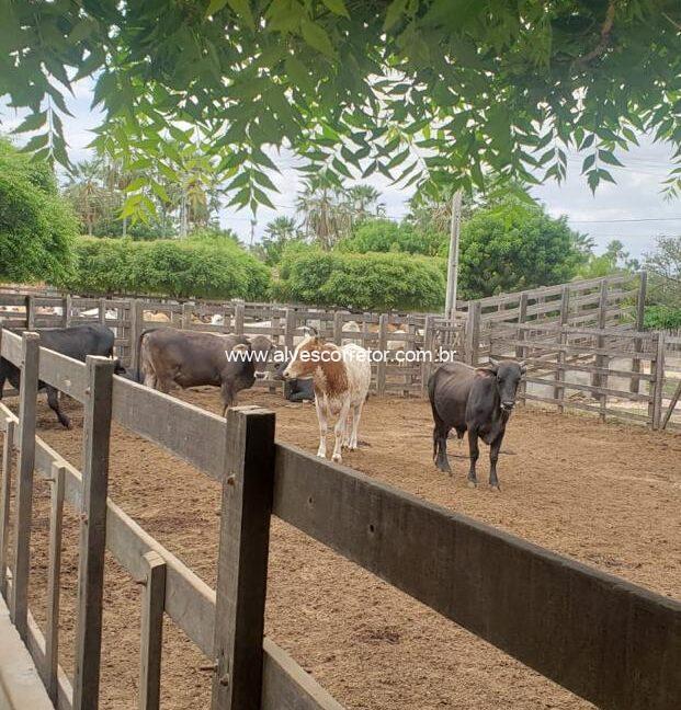 WhatsApp Image 2025-09-18 at 18.13.48 (2)