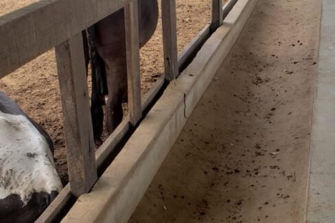 WhatsApp Image 2025-09-18 at 18.13.48 (3)