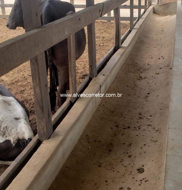 WhatsApp Image 2025-09-18 at 18.13.48 (3)