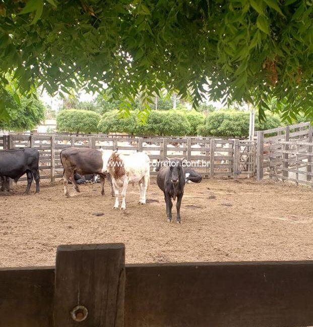 WhatsApp Image 2025-09-18 at 18.13.48 (4)